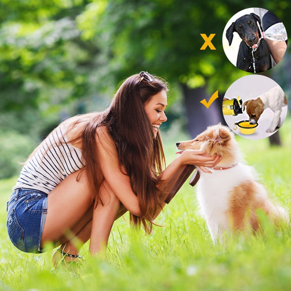 Botellas de agua y alimento para perros