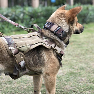 Chaleco para perros