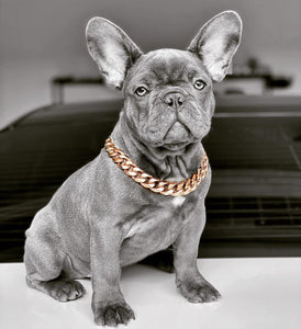 Cadena Dorada  17mm Eslabones Cubanos