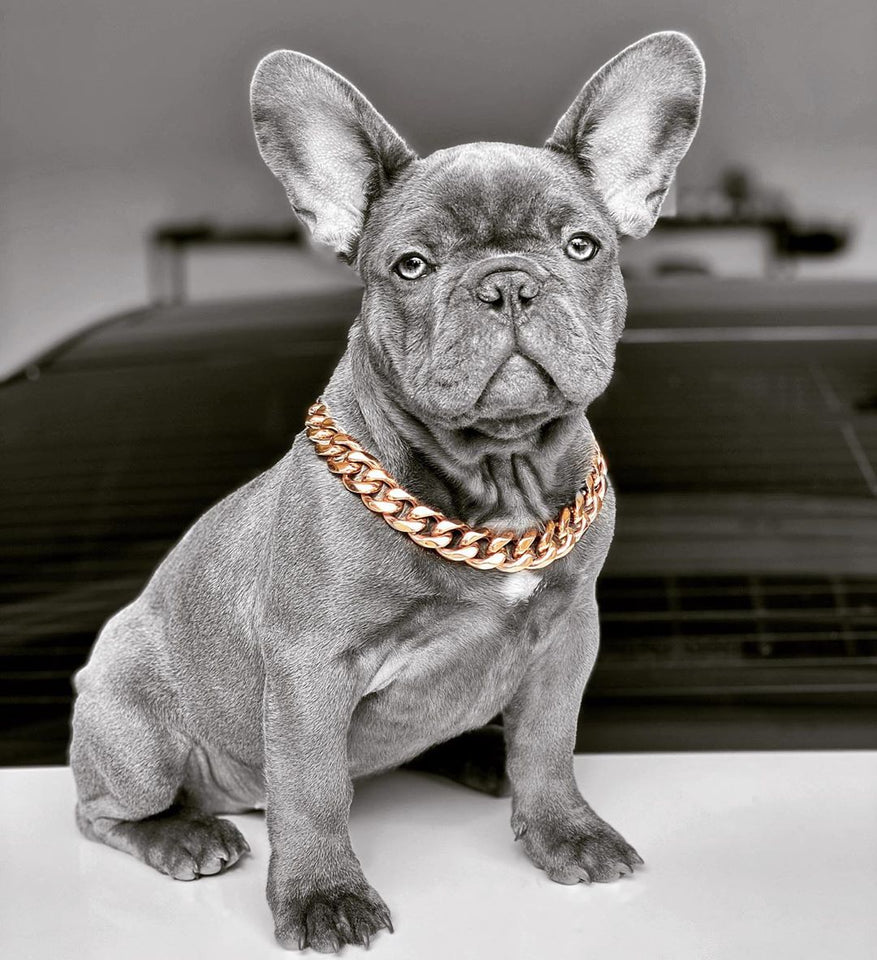 Cadena Dorada  17mm Eslabones Cubanos