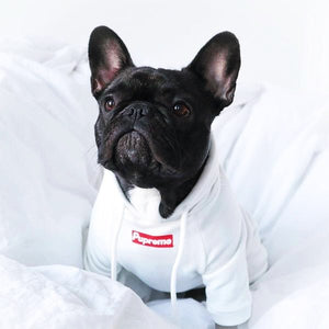 Sudadera Clásica P Blanco