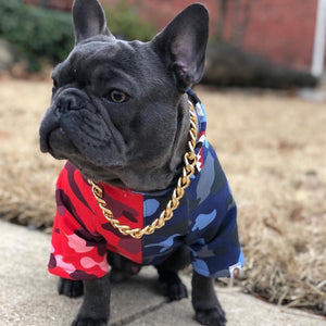 Sudadera Streetwear Shark Blue/Red