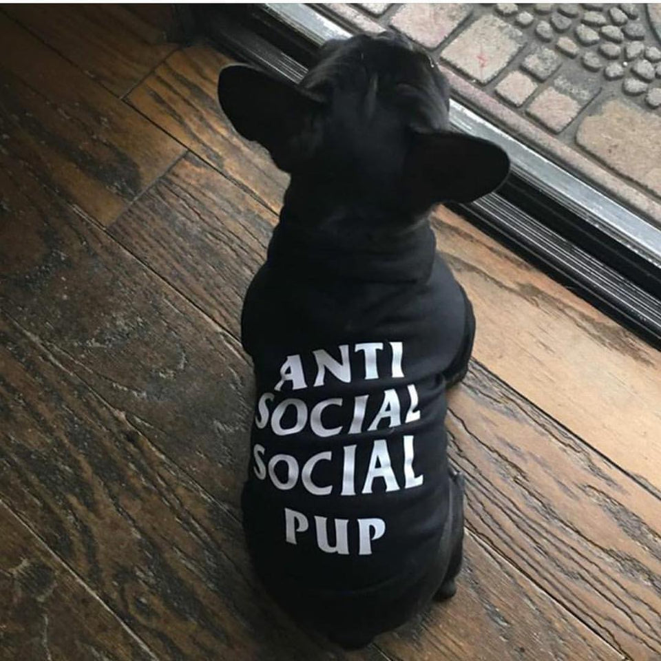 Sudadera ASSP Dog Negro