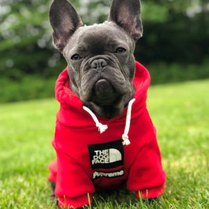 Sudadera Pupreme Streetstyle