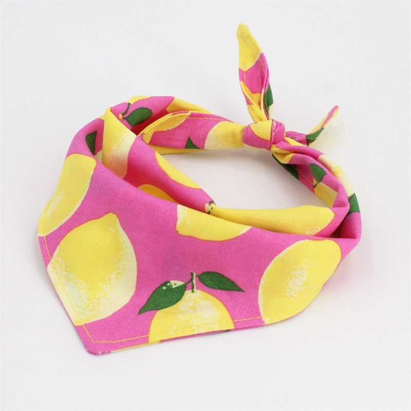 2 Unidades Bandana Marino/Limon