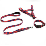 Set Collar, Arnes y Correa Rojo Street