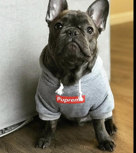 Sudadera Pupreme Doggie