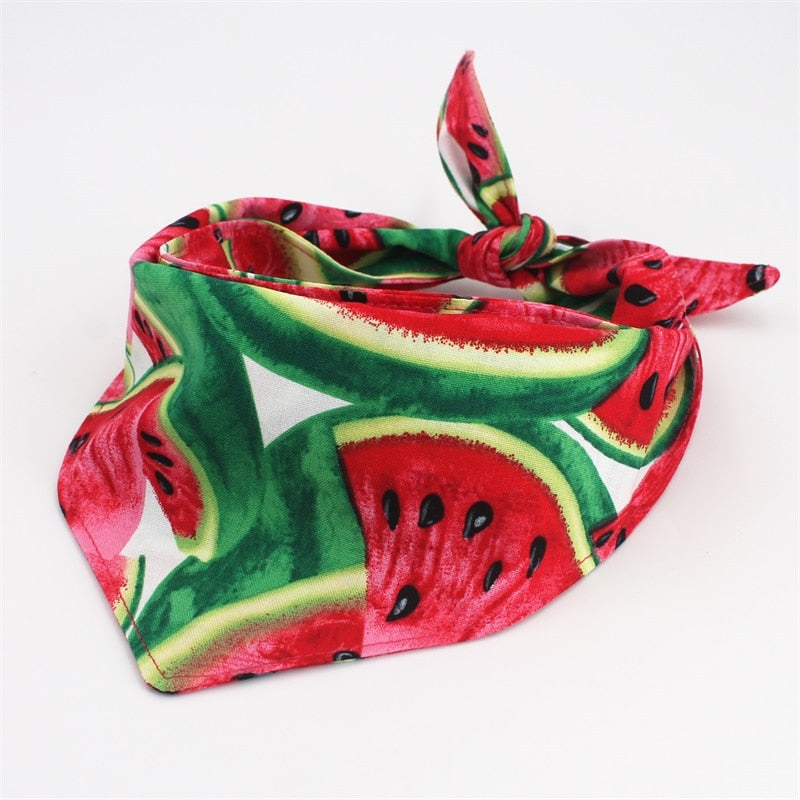 2 Unidades Bandana Sandia/Cactus