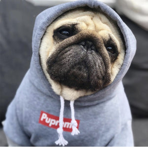 Sudadera Pupreme Doggie