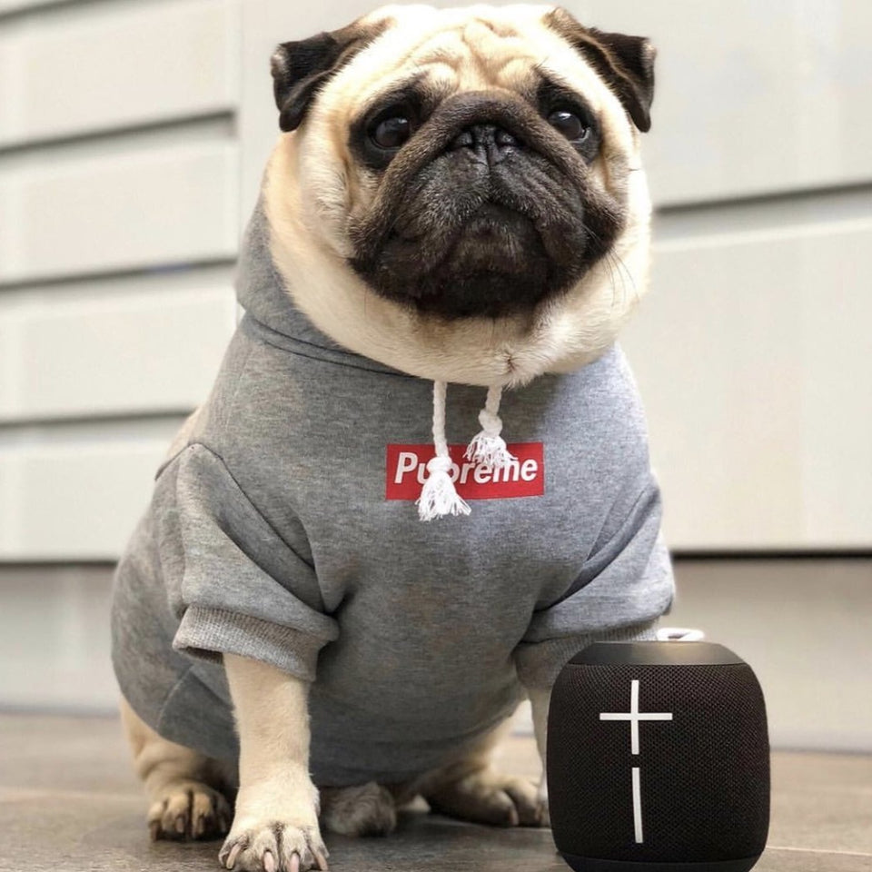 Sudadera Pupreme Doggie